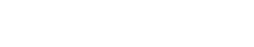Velour